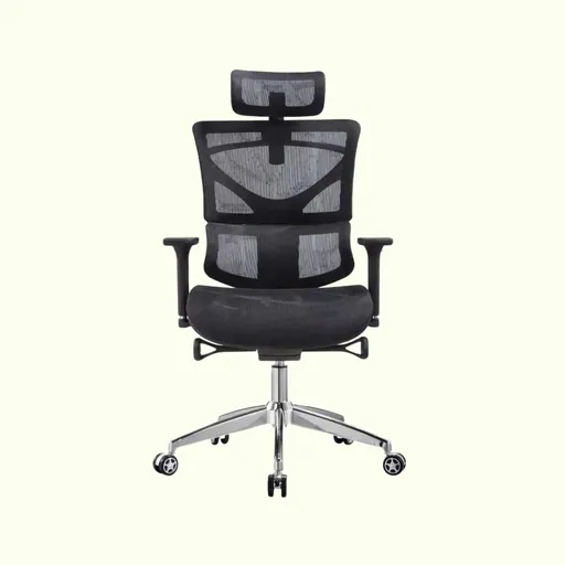 Premium Ergonomic Chair